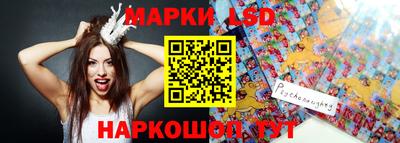стаф Гай
