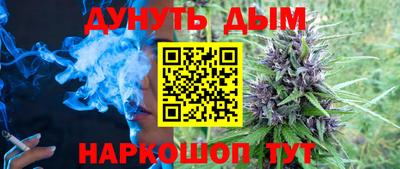 spice Гатчина