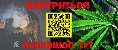 spice Гатчина