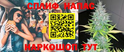 spice Гатчина