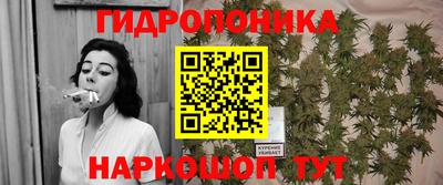 стаф Гай