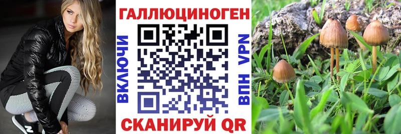 Псилоцибиновые грибы Cubensis Алексин