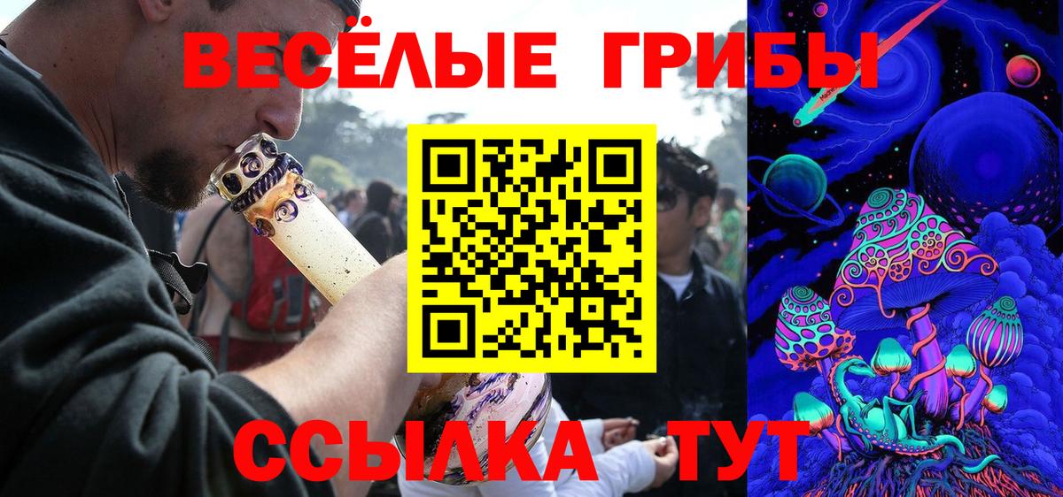 Галлюциногенные грибы Psilocybine cubensis Алексин