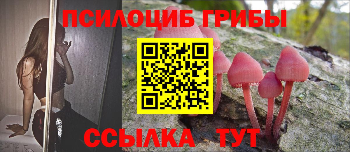 Псилоцибиновые грибы мухоморы  Алексин  Галлюциногенные грибы MAGIC MUSHROOMS 