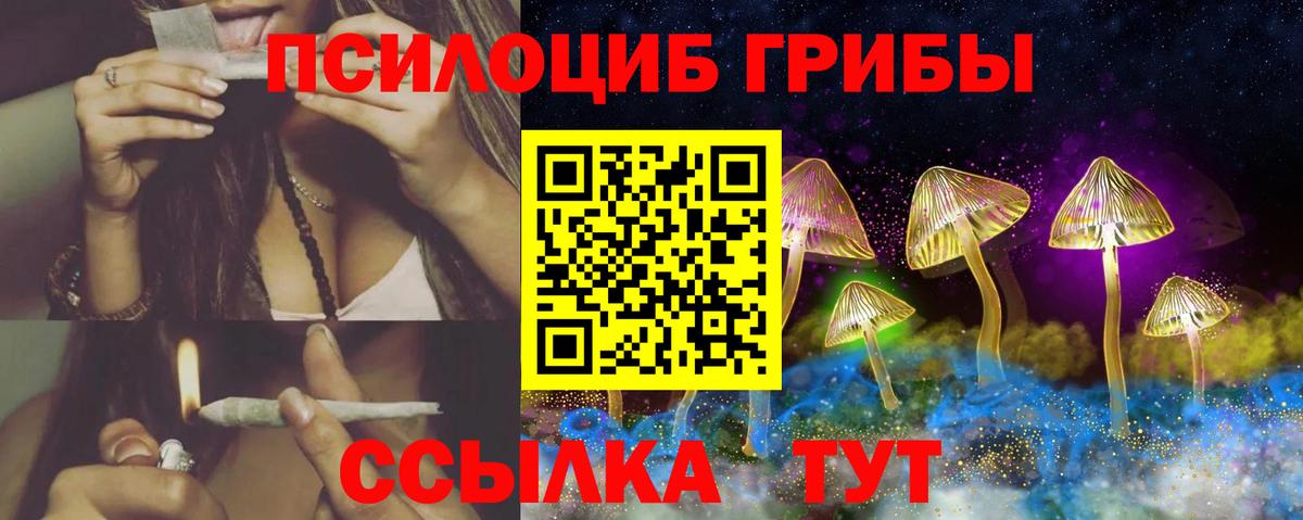 Алексин  Псилоцибиновые грибы Cubensis  Псилоцибиновые грибы MAGIC MUSHROOMS  Вход с VPN 