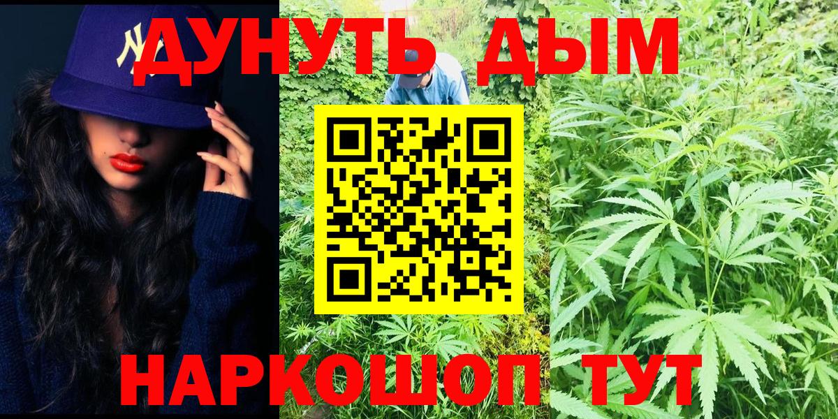 Каннабис план  Конопля конопля  Алексин  МАРИХУАНА THC 21% 