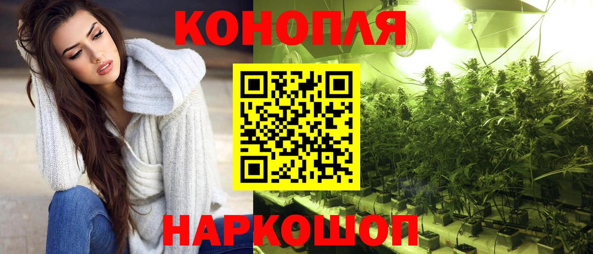 Канабис план  Вход с VPN  Бошки Шишки гибрид  Шишки марихуана сатива  Алексин 